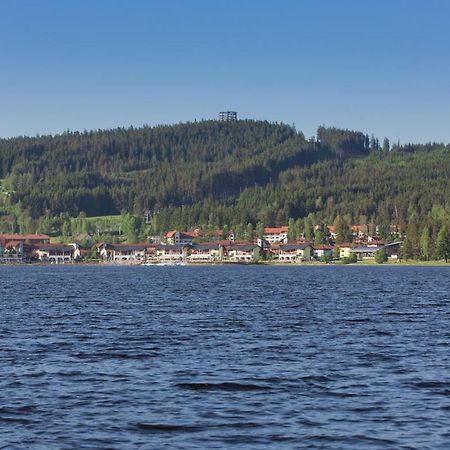 Lipno Lake Apartment Липно-над-Влтавой Экстерьер фото
